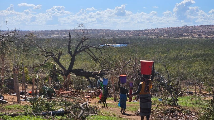 Women carry water on their heads while walking towards a forest of small trees.