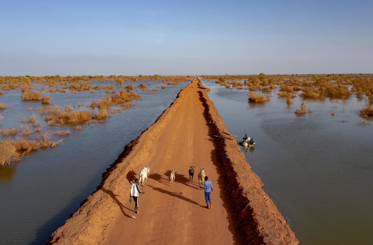 A road protected by dikes cuts through floodwaters near Bentiu, South Sudan. Two people herd goats along a dirt road surrounded by floodwaters that stretch all the way to the horizon.
