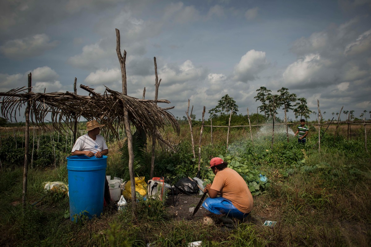 Belize. Daily life of family who fled from gangs violence of El Salvador.