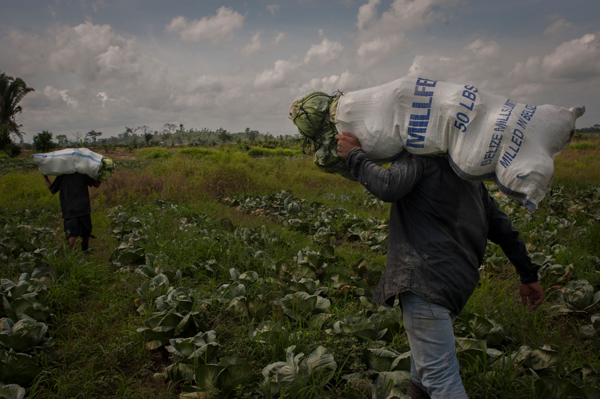 Belize. Daily life of family who fled from gangs violence of El Salvador.