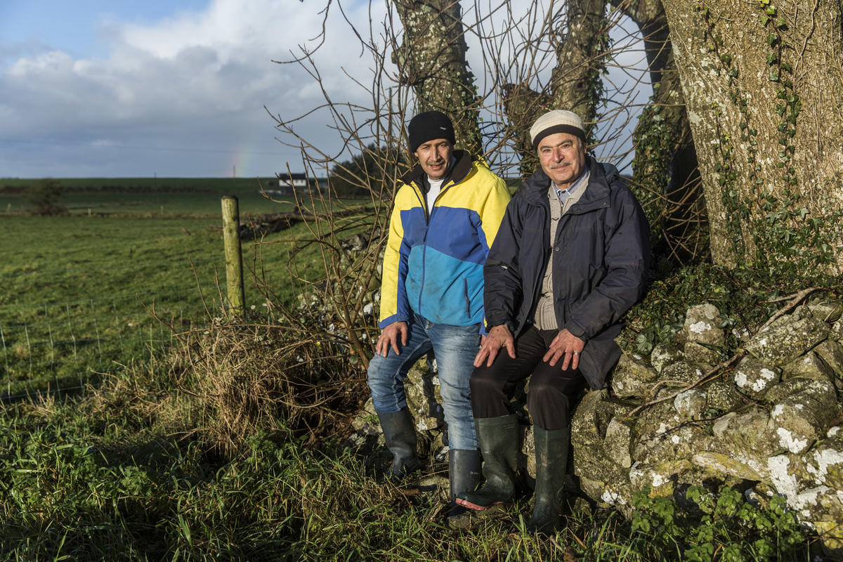 Ireland. An Irish social farming initiative giving Syrian refugee farmers an opportunity to work again