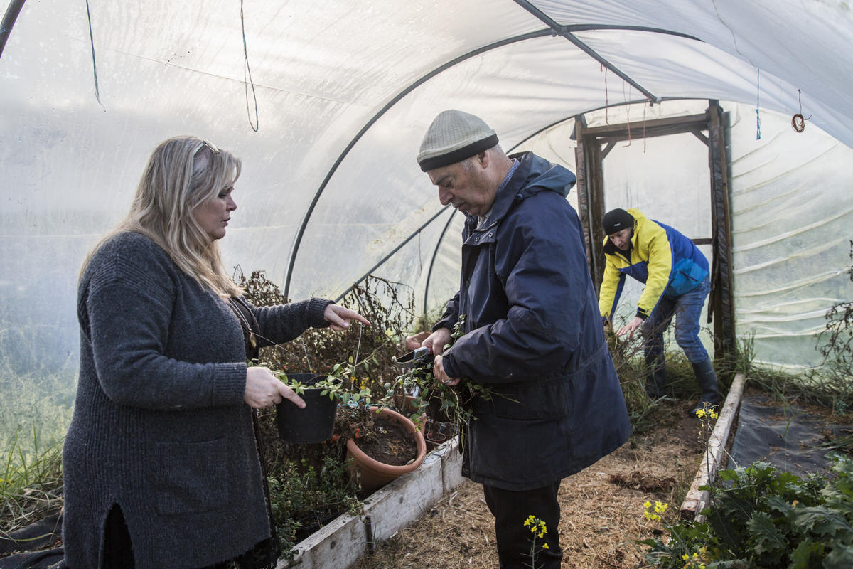 Ireland. An Irish social farming initiative giving Syrian refugee farmers an opportunity to work again