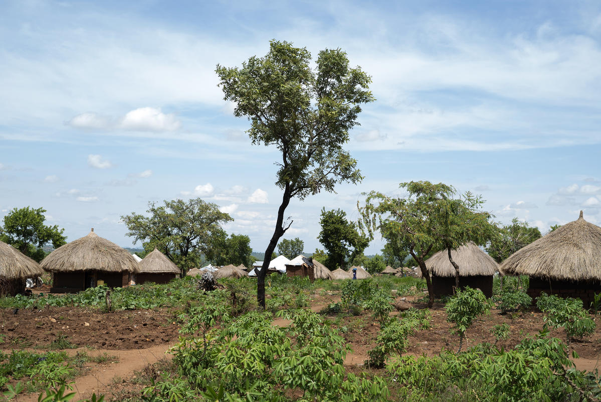 Uganda. The South Sudanese refugee has seen vast tree cover disappear and understands the pressure refugees and host communities put on forest resources. He is doing his part to undo some of the damage by planting trees around his small plot of land. He is also helping to sensitize other refugees to