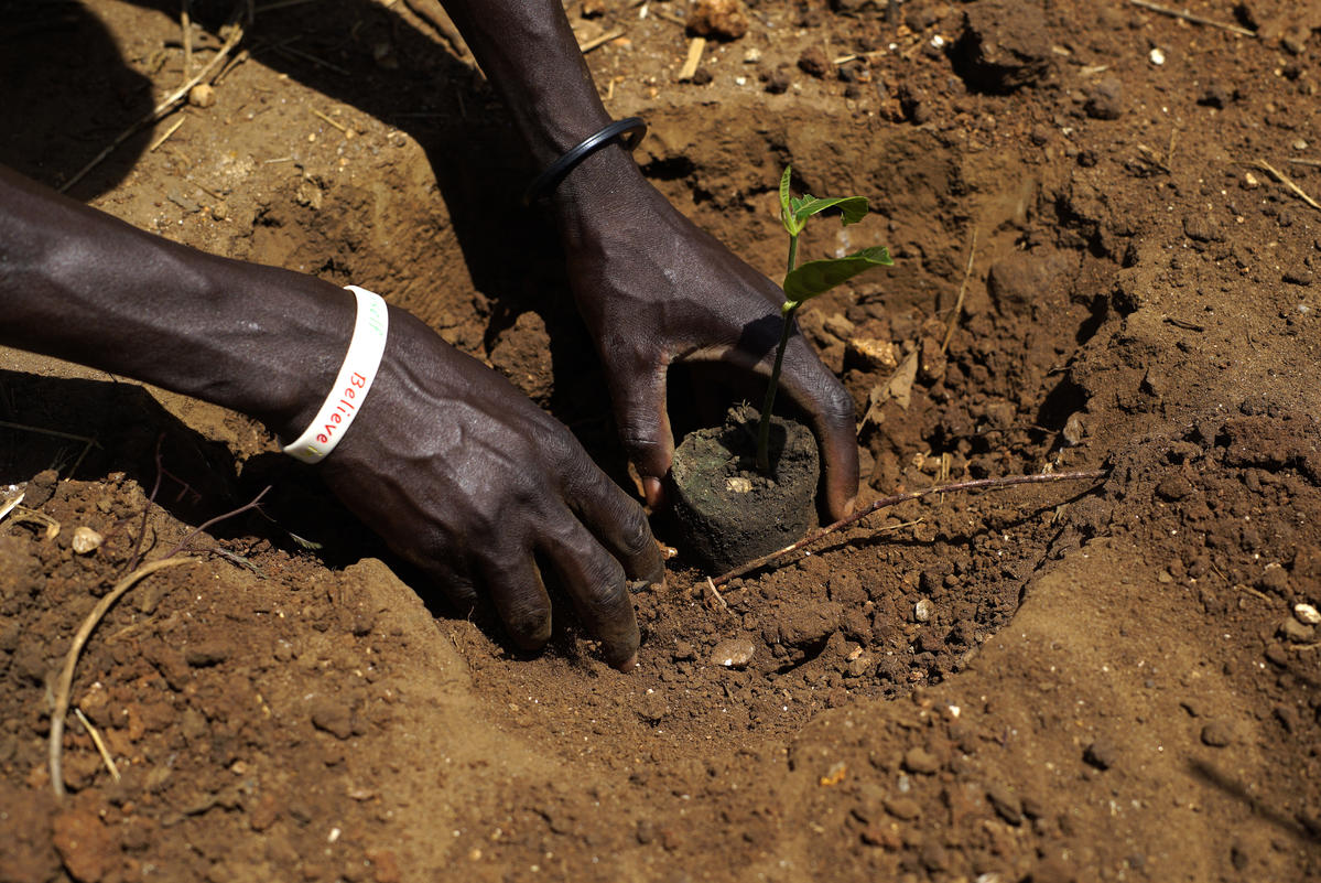 Uganda. The South Sudanese refugee has seen vast tree cover disappear and understands the pressure refugees and host communities put on forest resources. He is doing his part to undo some of the damage by planting trees around his small plot of land. He is also helping to sensitize other refugees to