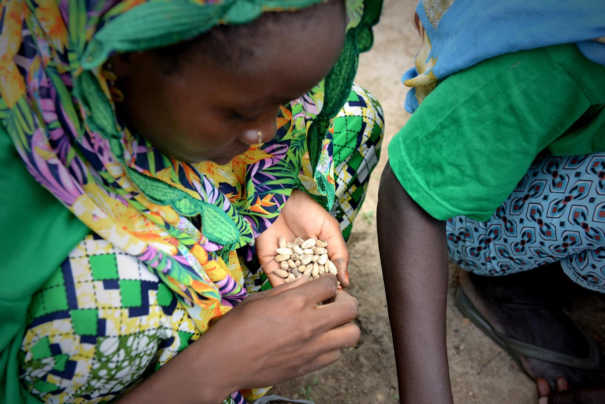 Cameroon. Refugees making Minawao green again