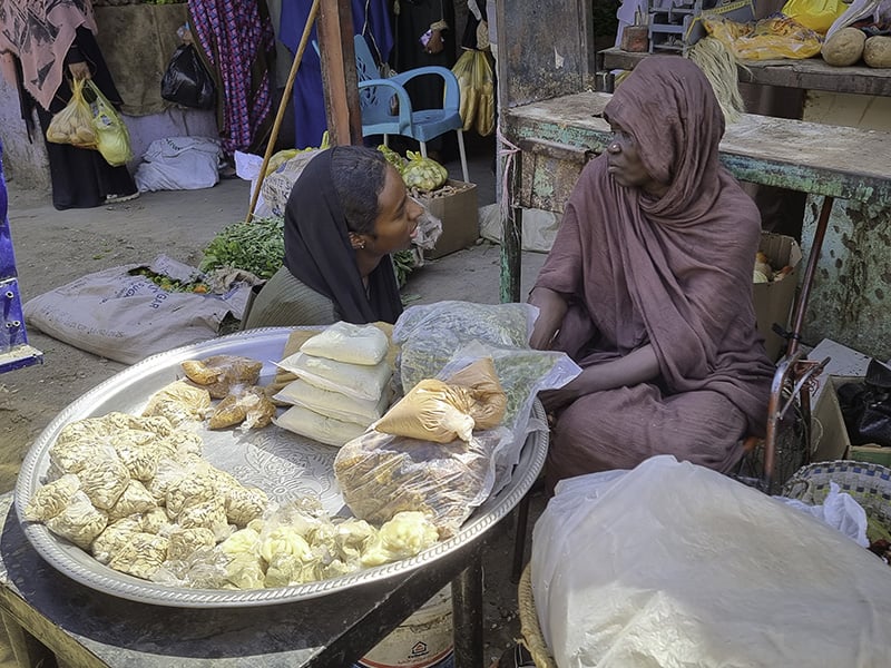 Sudan. Razan, a UNHCR volunteer in Wadi Halfa. UNHCR is conducting a market assessment with support of volunteers.  