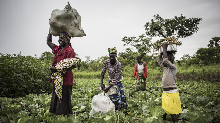 Agriculture And Food Security | UNHCR Australia