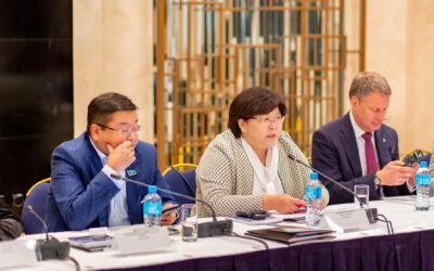 Правительство и УВКБ ООН обсуждают прогресс в искоренении безгражданства в Казахстане