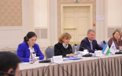 NHRC and UNHCR presented recommendations for development of asylum legislation in Uzbekistan