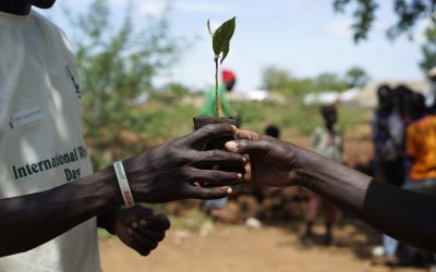 南苏丹难民在乌干达成为植树倡导者