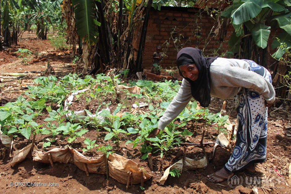 A woman in Kigoma refugee camp in Tanzania works on a vegetable production project that aims to diversify diets and improve nutrition. © UNHCR/Christina John