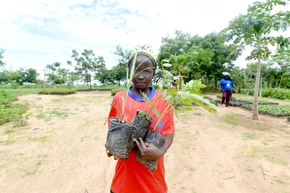 Trees planted around refugees’ homes can provide fruit, medicine and shade. © UNHCR/Xavier Bourgois