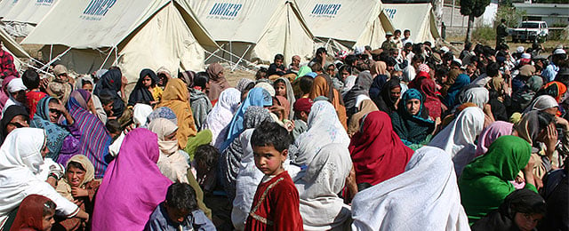 Adatok | Az UNHCR a számok tükrében