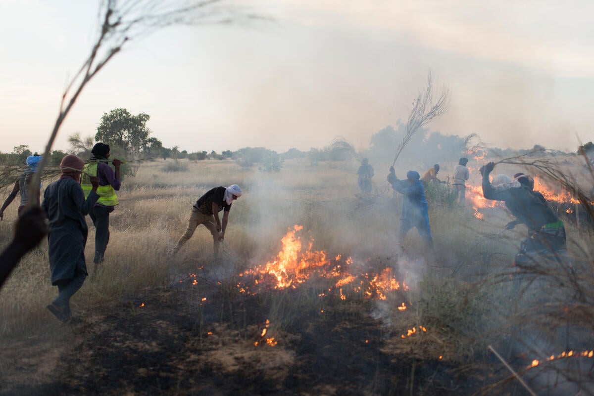 Mauritania. Refugee volunteers wage fight against bush fires near Malian camp