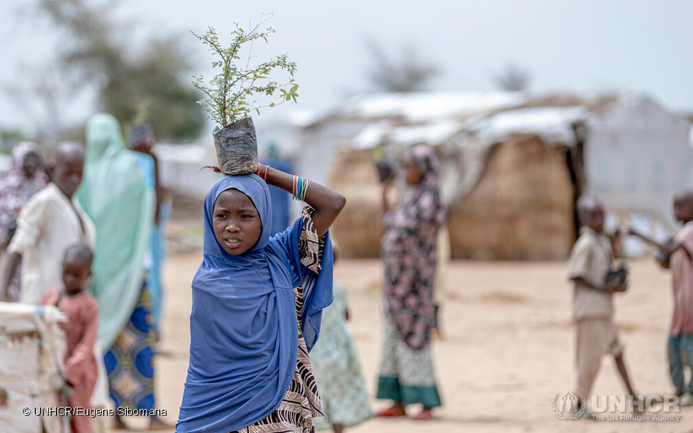 Cameroon. Planting 2,000 trees in the Far North region of Cameroon to help combat desertification