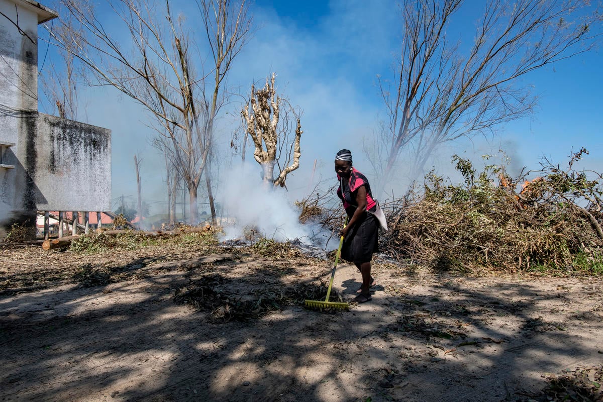 Mozambique. A woman cleans fallen branches and leaves