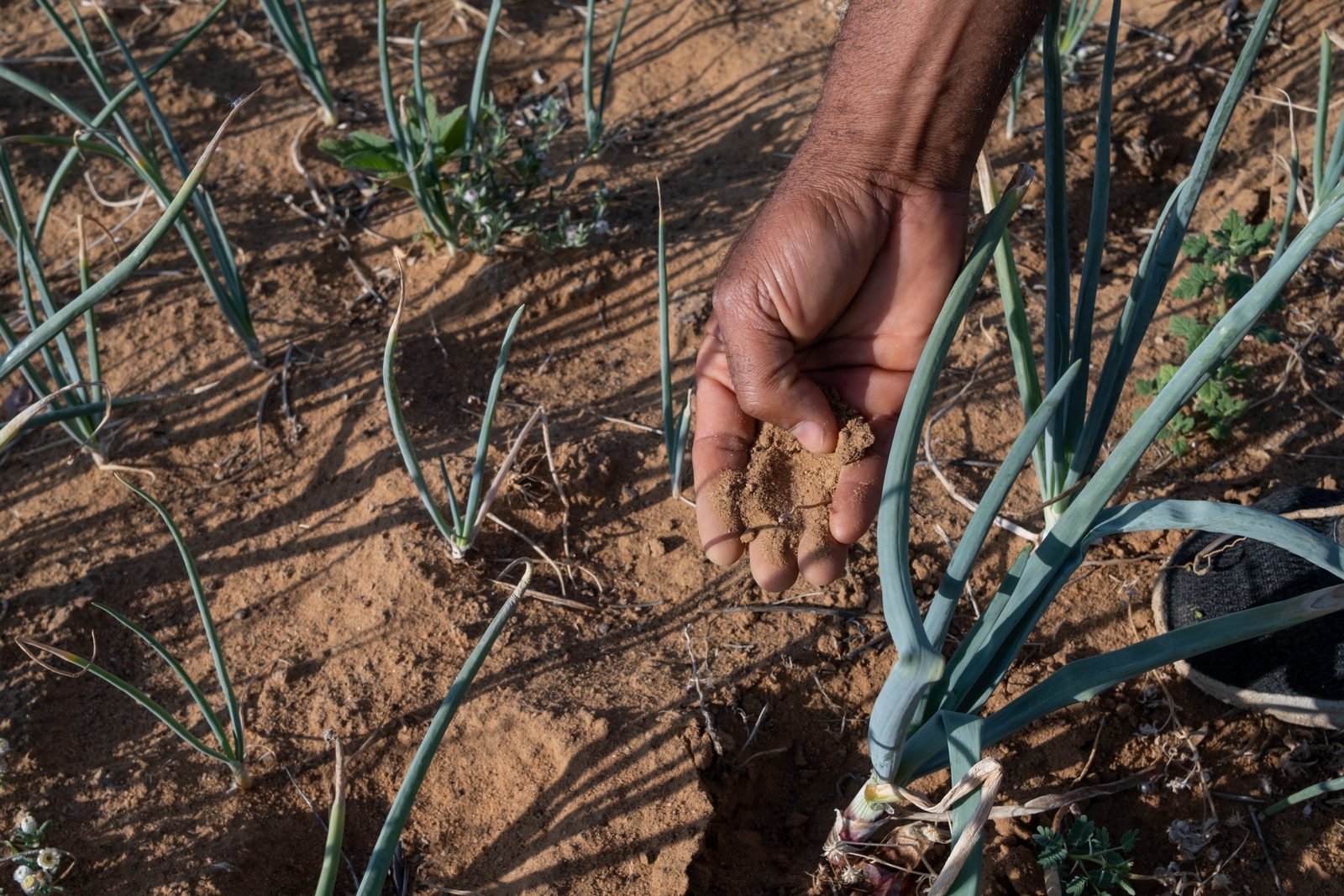 Namibia, Refugees in the Osire settlement are feeling the impacts of funding cuts and climate change