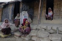 Le Nazioni Unite chiedono 920 milioni di dollari USA per la crisi umanitaria che ha colpito i Rohingya
