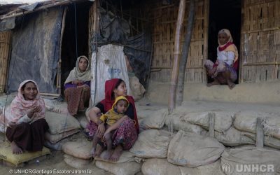 Le Nazioni Unite chiedono 920 milioni di dollari USA per la crisi umanitaria che ha colpito i Rohingya