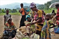 Congo: decine di migliaia di persone costrette alla fuga a causa degli attacchi nella provincia del Kivu Nord