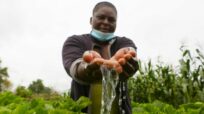 Un migliore accesso all’acqua semplifica la vita dei rifugiati in un campo dello Zimbabwe
