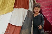 Una famiglia afgana sfollata lotta per andare avanti dopo le ultime violenze