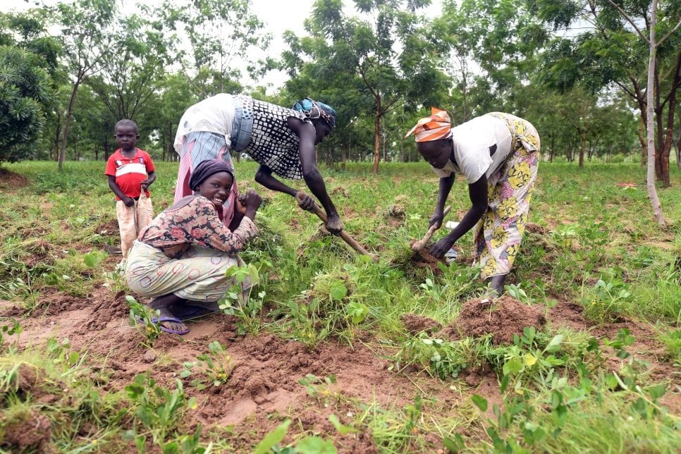 Camerun. Progetto di riforestazione dei rifugiati