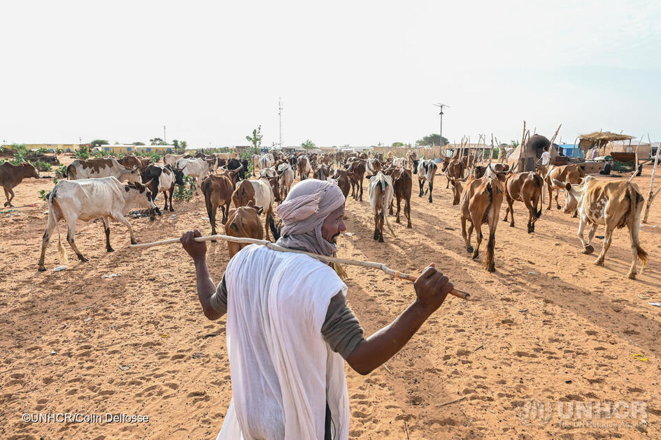 Mauritania. Mbera Fire Brigade honoured for environmental activism