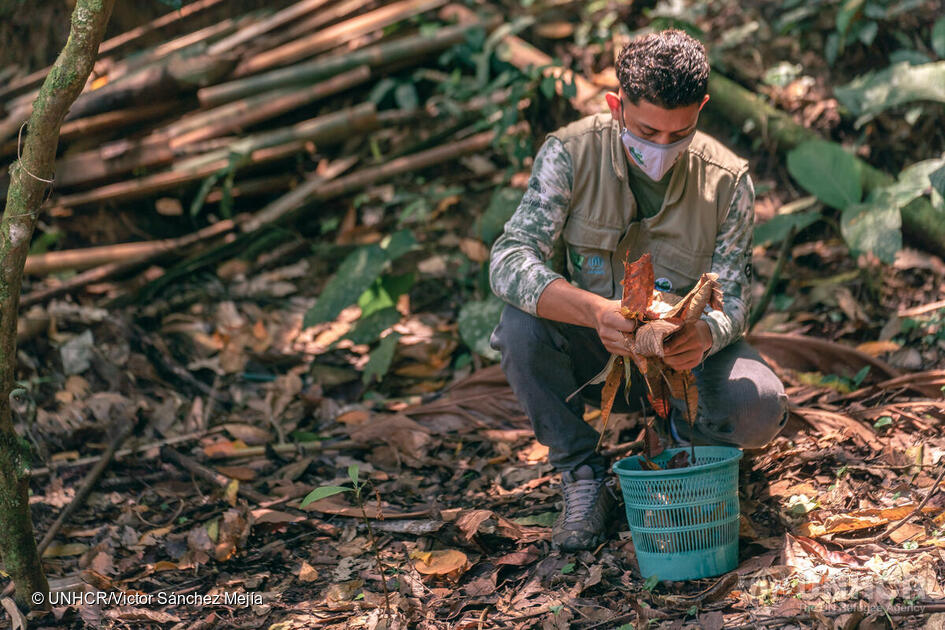 Guatemala. Refugee forest ranger on front line against climate change