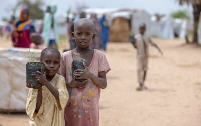 In Camerun rifugiati e sfollati contrastano la desertificazione