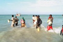 アデン湾を渡る難民、移民が6万2000人を超える