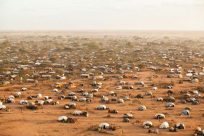 「世界難民白書」2012年度版、UNHCRより発刊