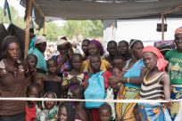 UNHCR、ボコ・ハラムの被害者支援に1億5,700万米ドルを要請