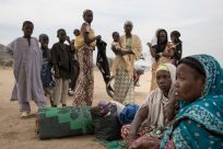 カメルーンへの庇護申請者、ナイジェリアに強制送還中に命を落とす