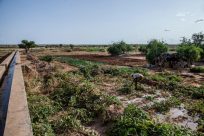 エチオピアで人々の生活を変えた灌漑プロジェクト