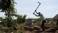 ウガンダの木を守る～南スーダン難民の植林活動