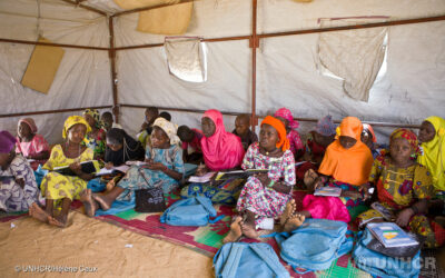 Danmark finansierer nødhjælp til den nylige flygtningekrise i Diffa i Niger
