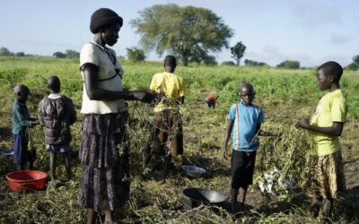 Zuid-Soedanese zorgt voor rijst en verbinding in Oeganda
