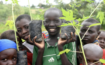 Vluchtelingen in Kameroen bouwen mee aan de ‘Great Green Wall’ om verwoestijning tegen te gaan