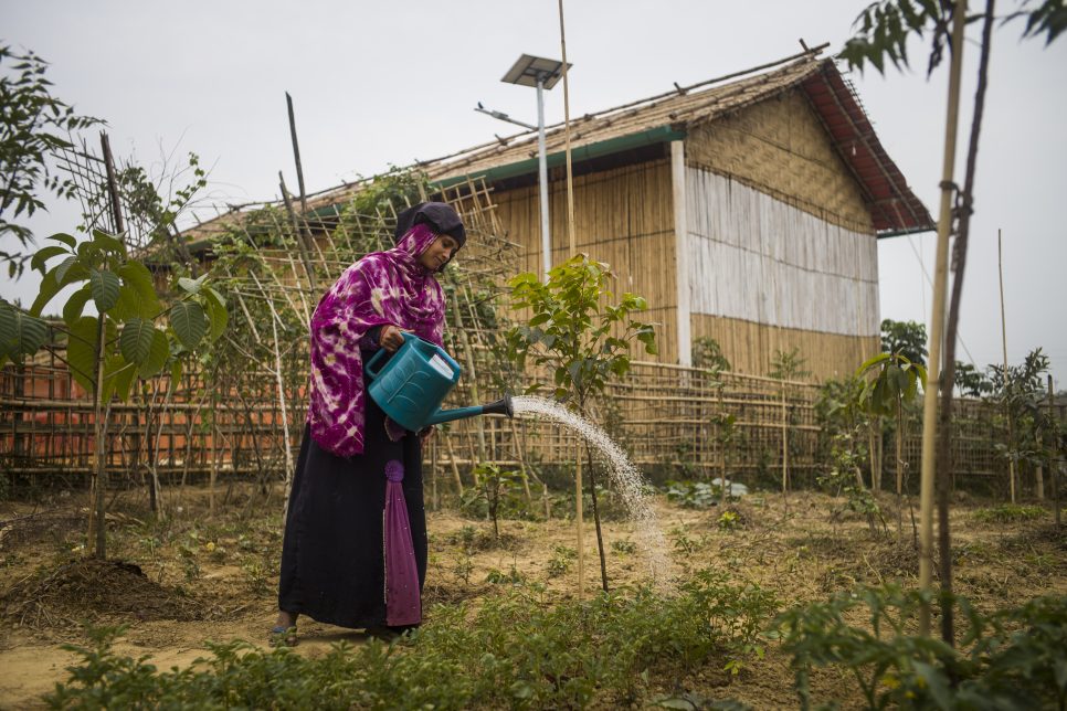 Sara Khatun geeft de planten water in een gemeenschappelijke tuin in kamp Kutupalong in Bangladesh. © UNHCR/Vincent Tremeau