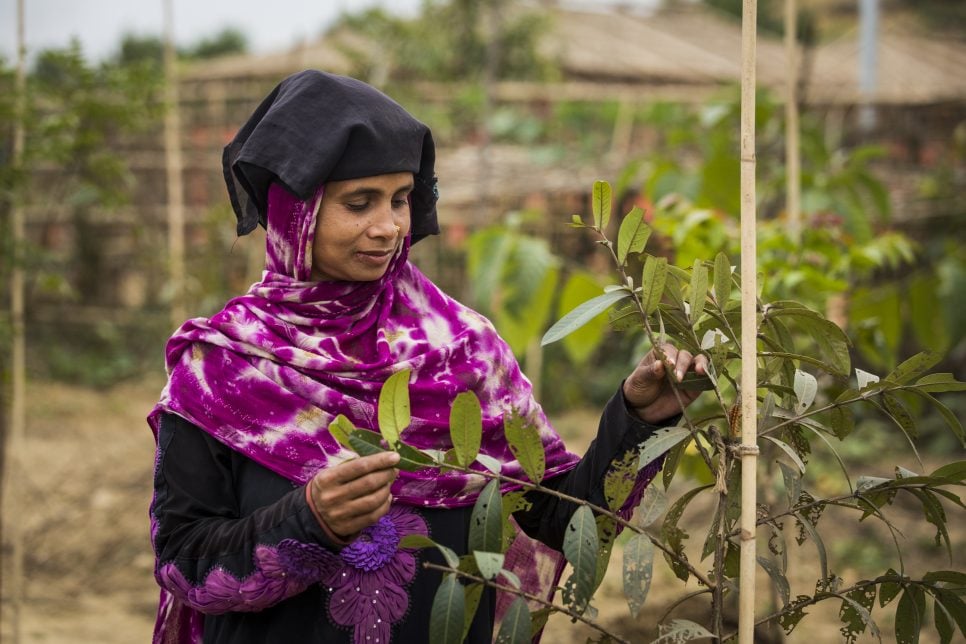 Sara Khatun verzorgt planten in een gemeenschappelijke tuin in kamp Kutupalong in Bangladesh. © UNHCR/Vincent Tremeau