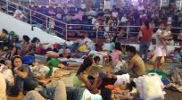 UNHCR responds to the needs of displaced by Typhoon Haiyan