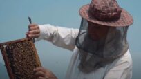 Beekeeping by Afghan refugees helps boost Pakistan’s honey business