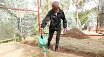Refugees and locals join hands to restore the environment in Rwanda