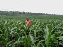 Farming boosts refugee resilience in Nyabiheke