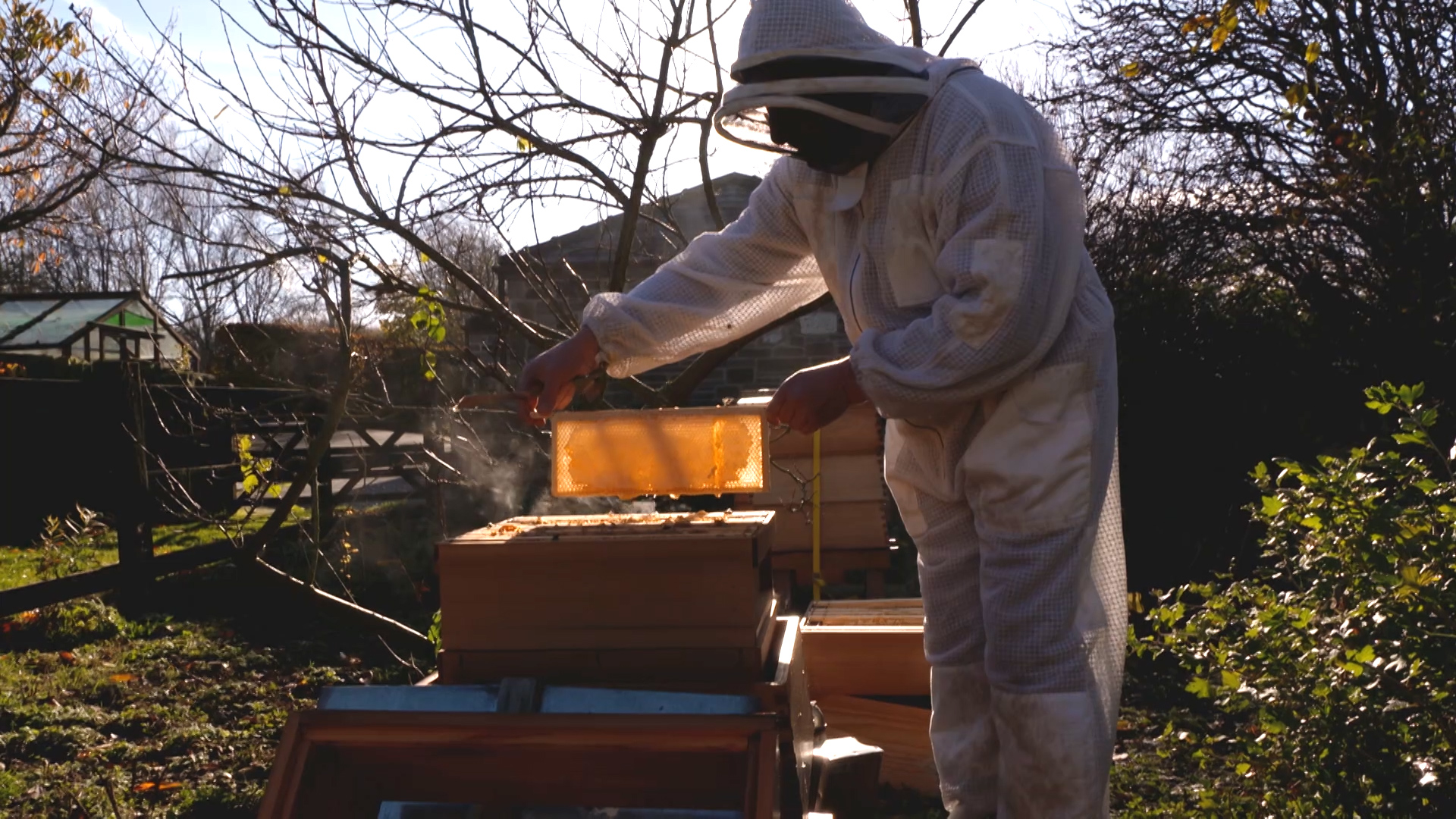 Mais pourquoi les apiculteurs français sont-ils englués dans leurs