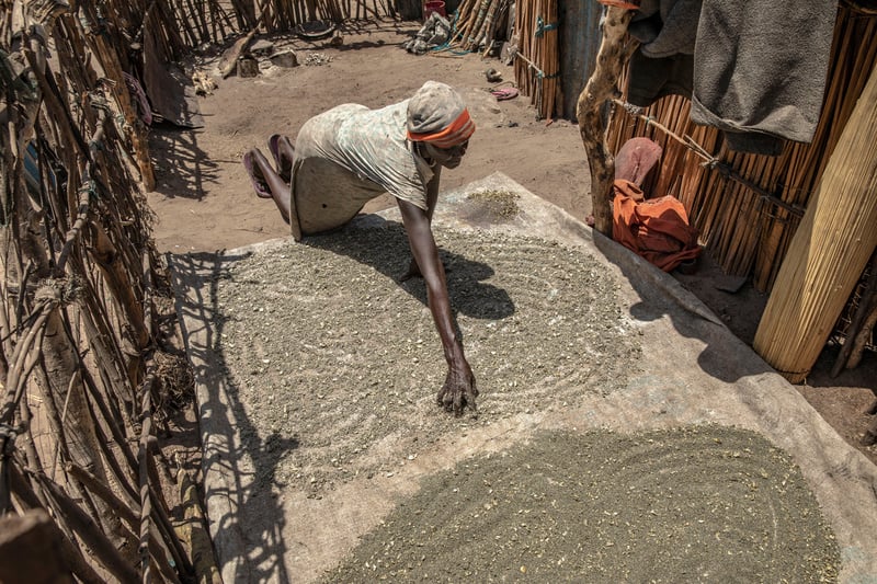 A woman spreads out crushed water lilies to dry in the sun outside her home.