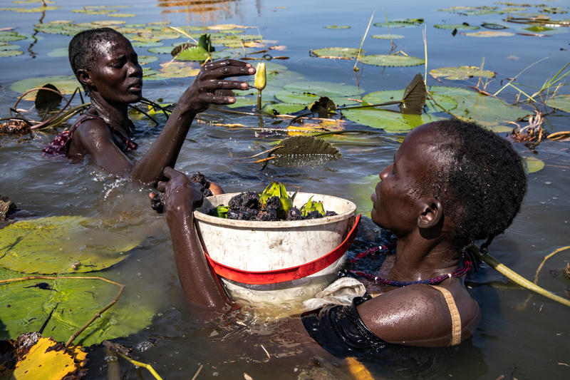 One woman nearly submerged in water holds a bucket while another puts water lilies in it.