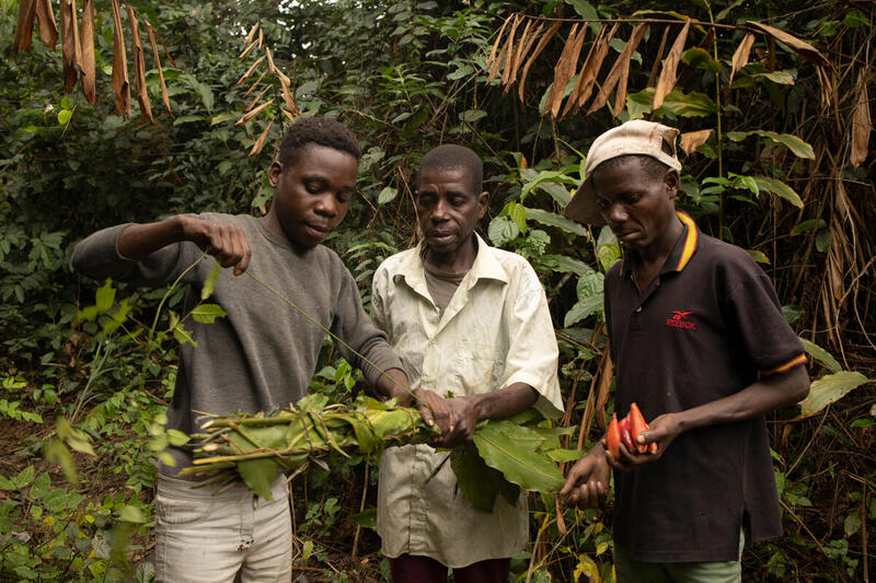 Birth registration drive brings Congo's indigenous in from the shadows ...