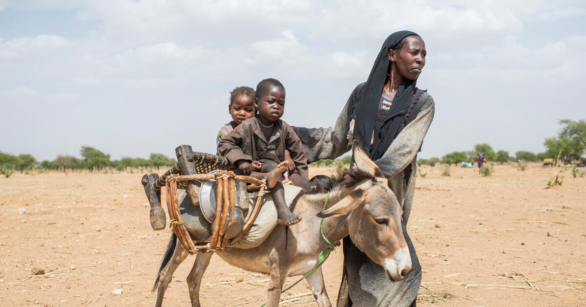 Sudan Emergency | UNHCR